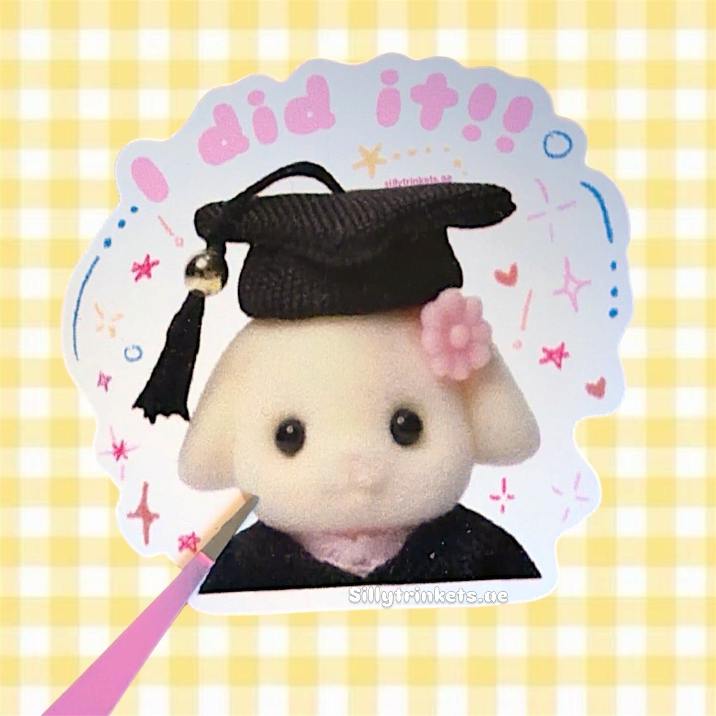Sylvanian graduate sticker graduate! π©βπ π±